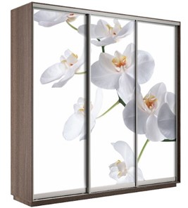 Шкаф 3-дверный Е1 Экспресс 1800х600х2200, Орхидея бела/шимо темный в Калуге