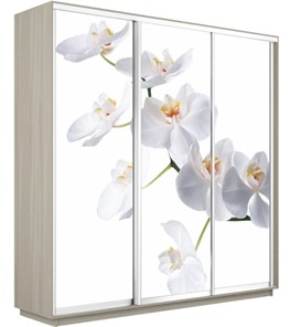 Шкаф 3-х дверный Е1 Экспресс 1800х600х2200, Орхидея белая/шимо светлый в Калуге