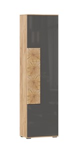 Шкаф одностворчатый Фиджи с декоративными накладками 659.300, Дуб Золотой/Антрацит в Калуге