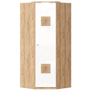 Шкаф угловой 45 с декоративной накладкой Фиджи, 659.248, белый в Калуге